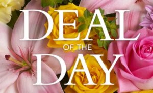 Deal of the Day - $40