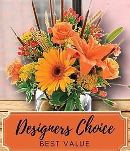 Autumn/ Designers Choice